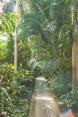 Canvas Print Botanical garden with plants and flowers growing in Dublin, Ireland