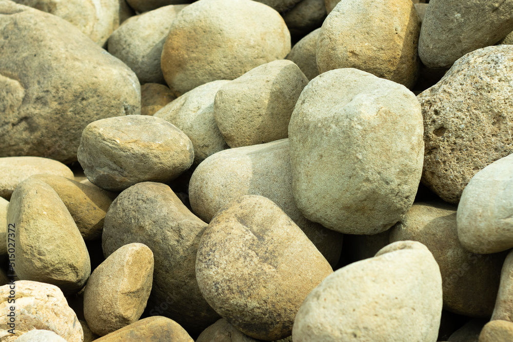 Garden center. Gardening, shop. Landscape design. Stones. Garden center. Gardening, shop. Landscape design. Stones.