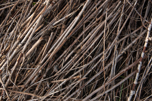 Background of lying thin dry tree branches.