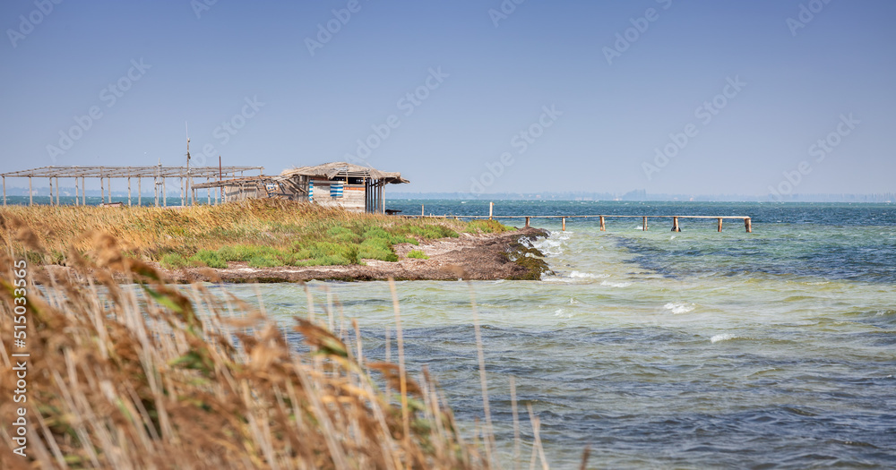 The coast of the Black Sea on the island of Dzharylhach. Ukraine. Nature of Ukraine