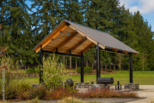 2022-07-02 A PICNIC SHELTER WITH BARBECUE AND GRASS PALY AREA IN THE CITY OF BELLEVUE photo