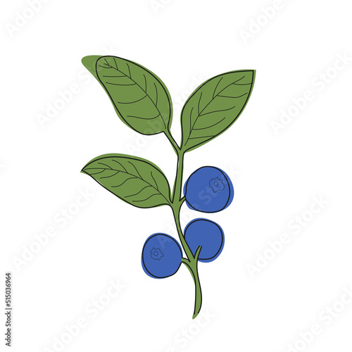 Blueberry branch minimalistic flat and line style.sprig of blueberries with leaves and berries