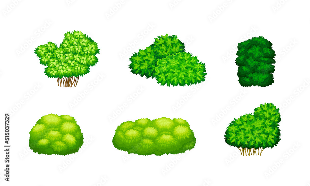 Green bushes of different shapes set. Shrubs for park, garden decor or green fence cartoon vector illustration Green bushes of different shapes set. Shrubs for park, garden decor or green fence cartoon vector illustration