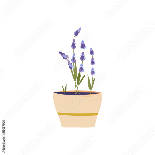 Lavender plant in a flower pot. Isolated clip-art on a white background. Decor element, comfort, medicine, relaxation and aromatherapy at home. Simple vector editable doodle illustration