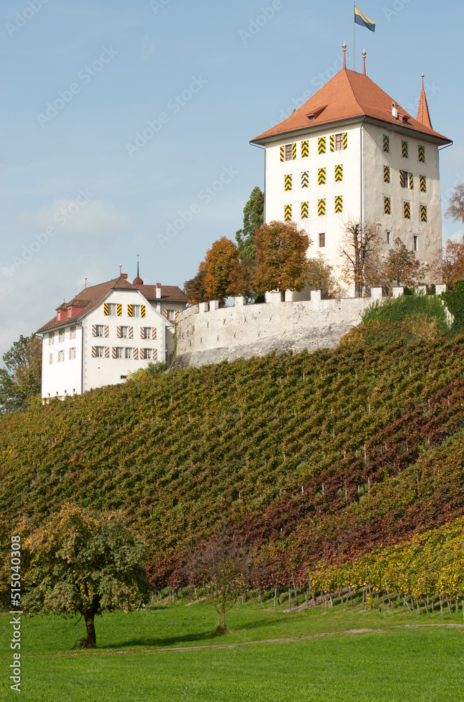 Schweiz, Luzerner Seetal, Schloss Heidegg im Herbst