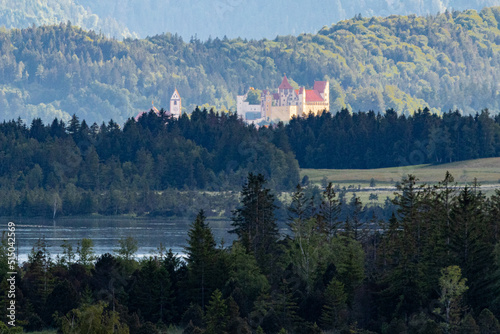 Neuschwanstein Castle as part of the Bavarian Alps