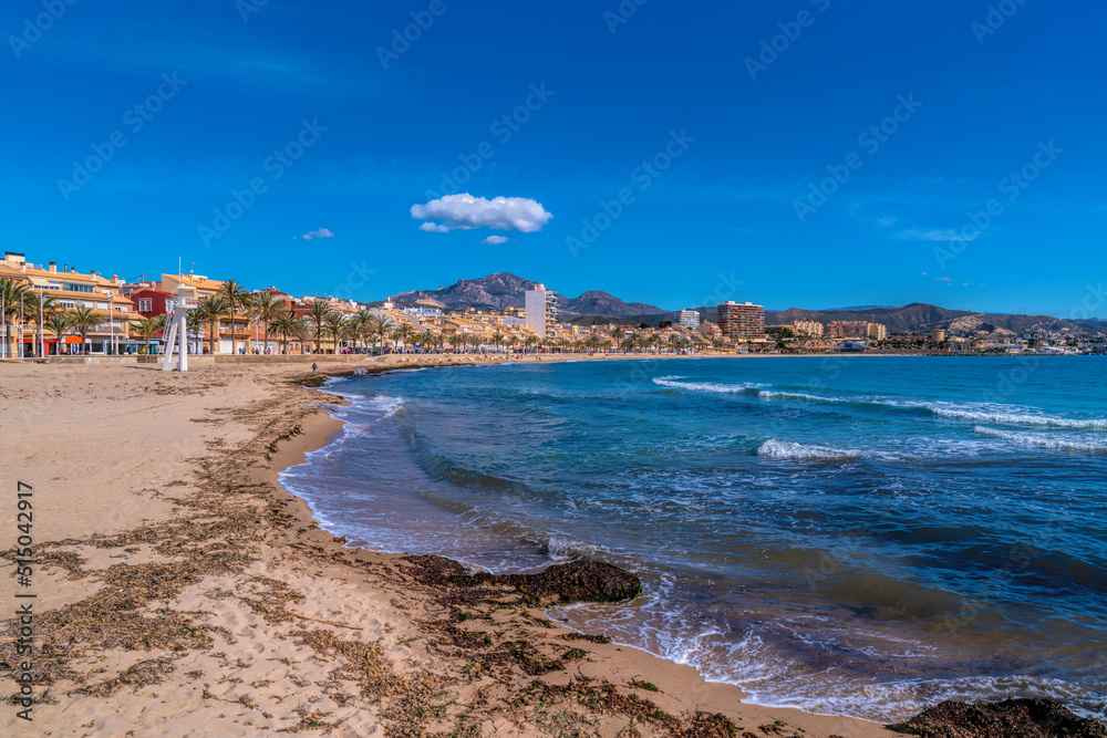 El Campello beach with seaweed Costa Blanca Spain near Benidorm and Alicante