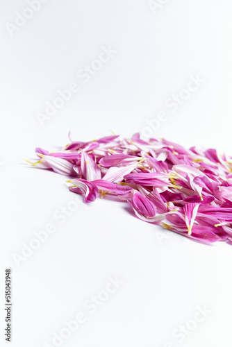 Pile of beautiful dahlia petals for background