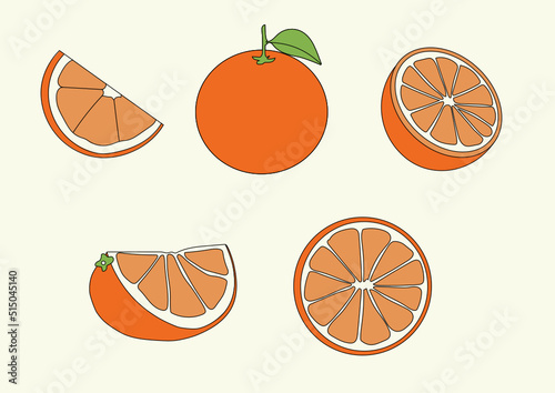 dessin orange, quartier d'orange, image vectorielle