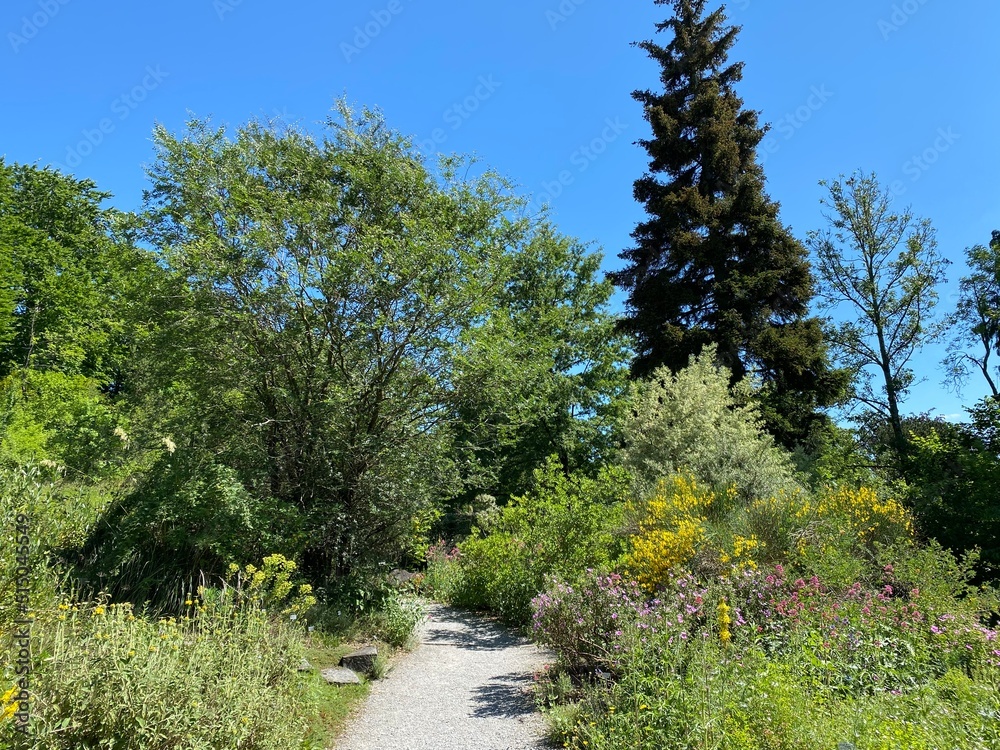 The Botanical Garden of the University of Zurich or Botanischer Garten der Universität Zürich (Botanischer Garten der Universitat Zurich - Botanischer Garten der Universitaet Zuerich), Switzerland