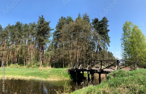 Obraz na płótnie las w salonie