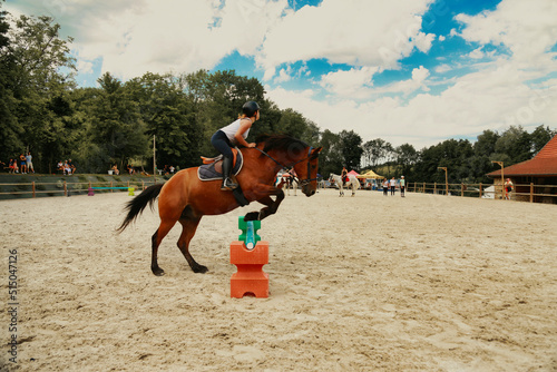 Saut d'obstacle equitation