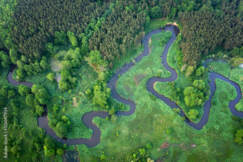 Natural river in the forest - aerial view