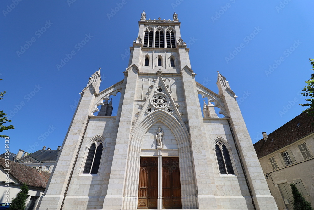 La cathédrale Saint Jean Baptiste, de style néogothique, construite au 19eme siècle, vue de l'extérieur, ville de Belley, département de l'Ain, France