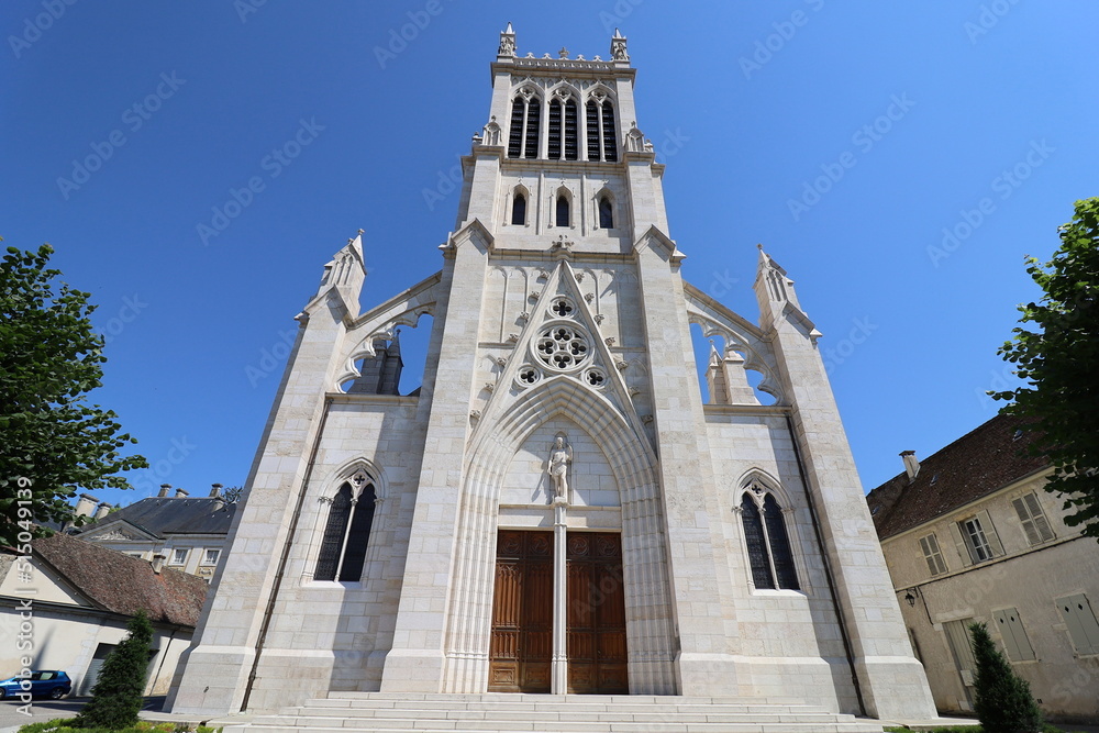 La cathédrale Saint Jean Baptiste, de style néogothique, construite au 19eme siècle, vue de l'extérieur, ville de Belley, département de l'Ain, France