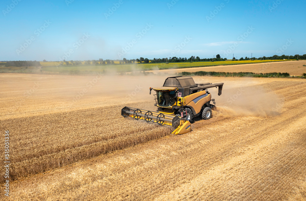 Obraz premium Combine harvester on a wheat field with blue sky.