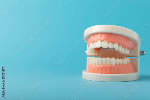 Dentures on a blue background.Upper and lower jaws with false teeth. Dentures or false teeth, close-up. copy space.MOCKUP