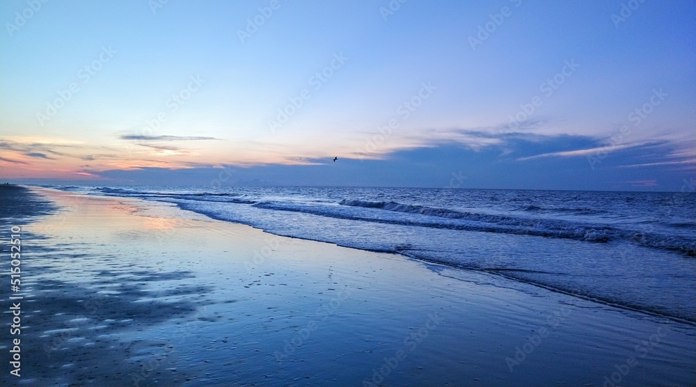 Seabird Taking Flight Over Sunrise Beach Ocean Waters