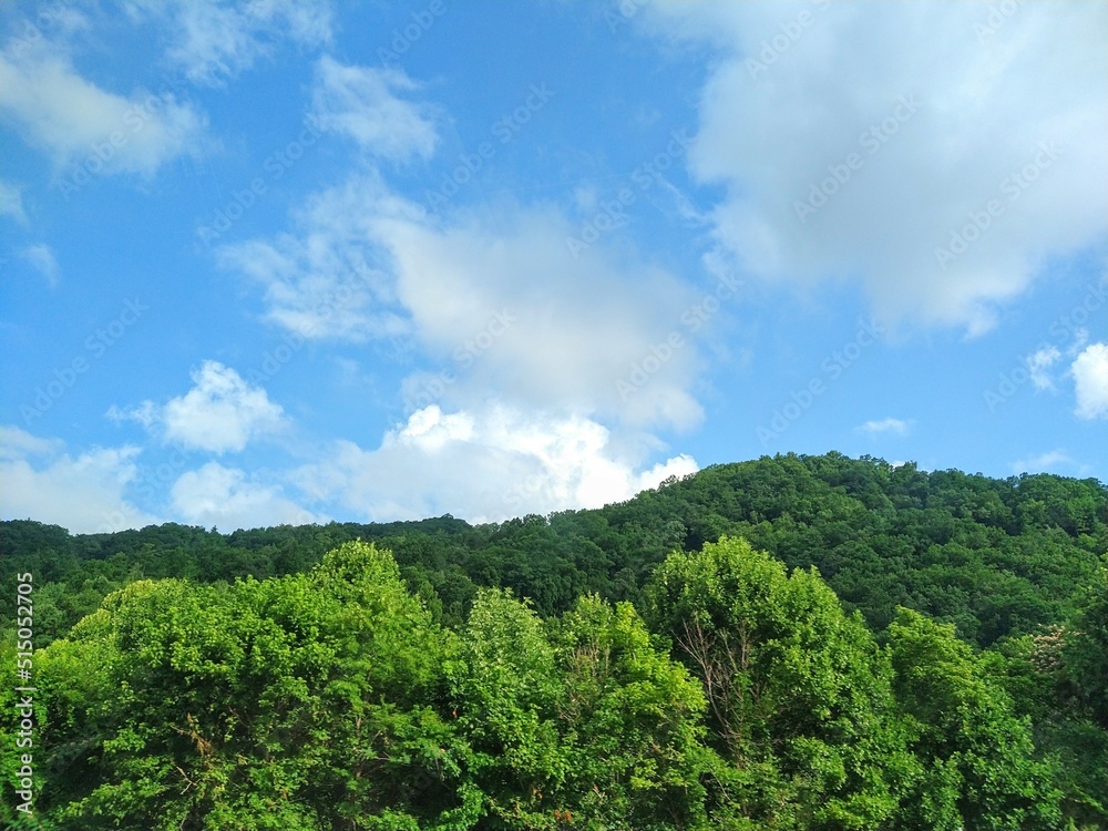 bright cloudy summer sky over hillside view