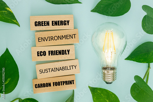 leaves surrounding bulb, ecological system, wooden blocks, slogans related to green energy and the environment, natural sources of electricity, creative, bright background, lay flat photo