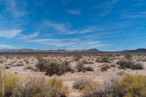 Desert landscape with mountains in background. Mojave Desert.