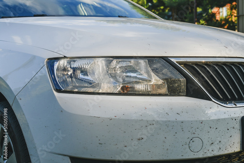 Signs of dead midges insects on the bumper of the car