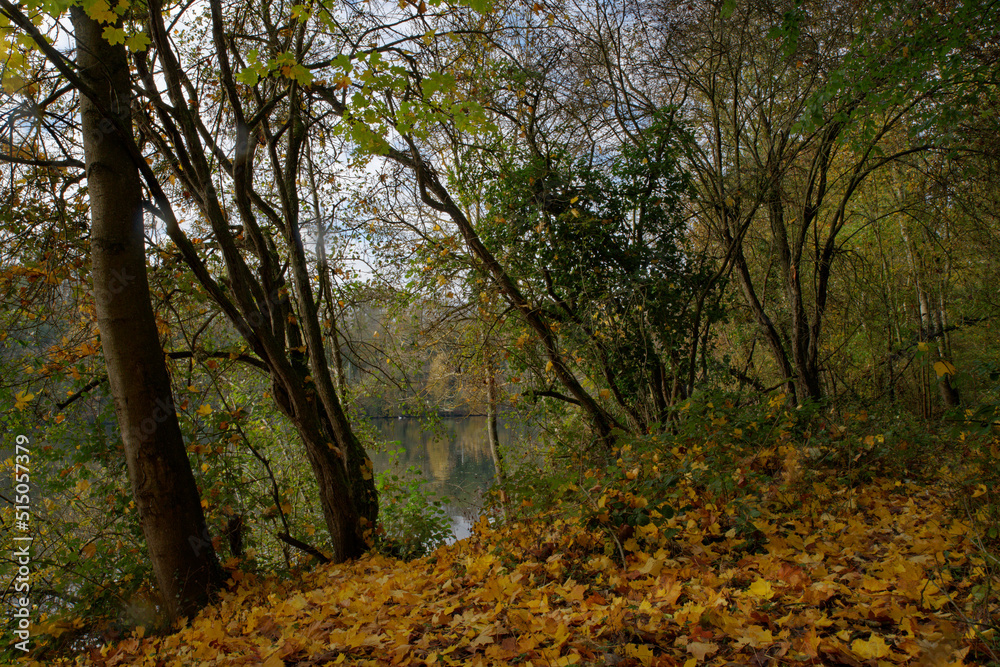 Bords de Seine en automne près de Boissise le Roi