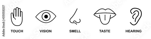 Five human senses flat vector icon set. Vision, hearing, taste, smell, touch.  Stock Vector EPS
