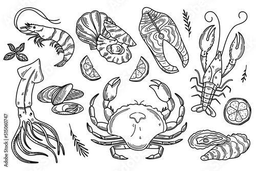 Hand drawn Seafood set. Decorative doodle illustration of squid, salmon, scallops, lobster, crab, shellfish and mussels. Vector illustration in old ink style