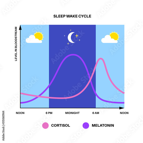 Sleep wake cycle
