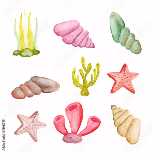 watercolor set of hand drawn seashells