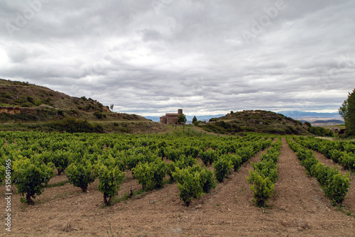 Viñedo de Rioja con una iglesia en el fondo. San Vicente de la Sonsierra, La Rioja, España. photo