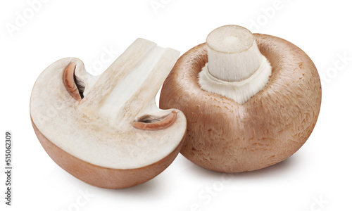 Delicious mushrooms, isolated on white background