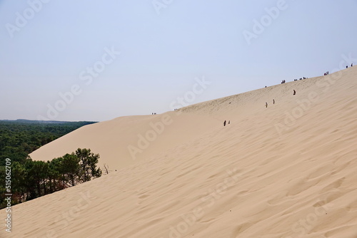 Dune du Pyla - the largest sand dune in Europe, Aquitaine, France 