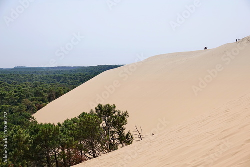 Dune du Pyla - the largest sand dune in Europe, Aquitaine, France
