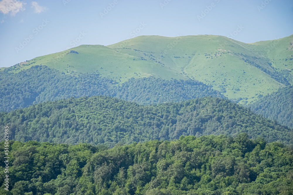 green landscape and blue sky in the mountain