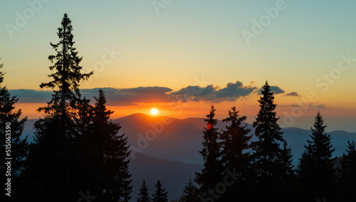 Silhouettes of fir trees in the mountainous valley of the Rhodope Mountains against the background of a sunset sky