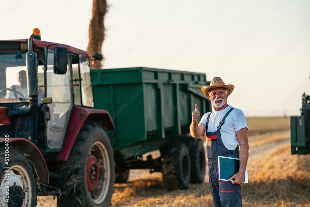Obraz premium Senior agronomist and farm owner is standing in front of a combine unloading wheat into a tractor trailer. He is smiling and showing thumbs up.