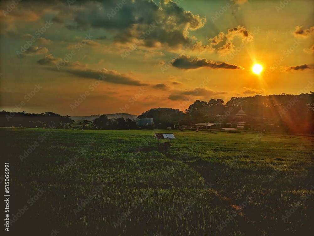 sunset panorama of agrarian rice fields landscape in the village of semarang, Central Java, like a terraced rice fields ubud Bali Indonesia