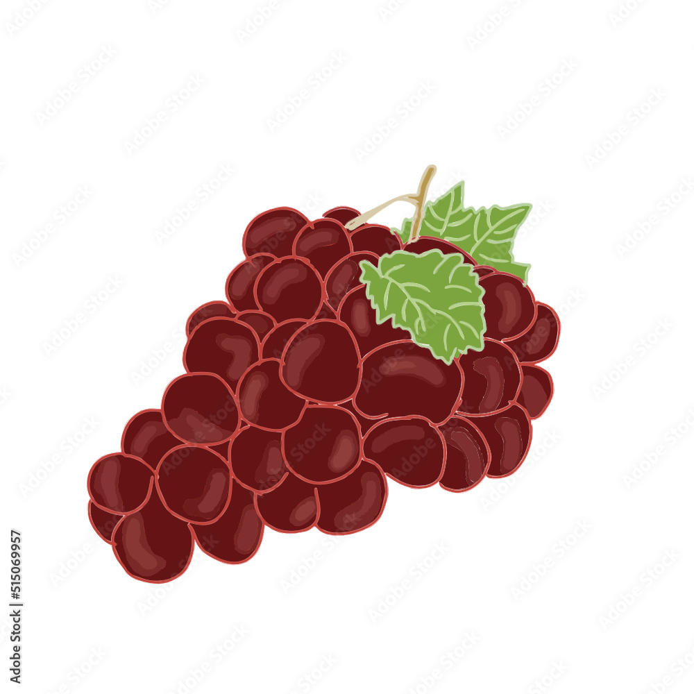 Illustration of red grapes with leaves Illustration of red grapes with leaves