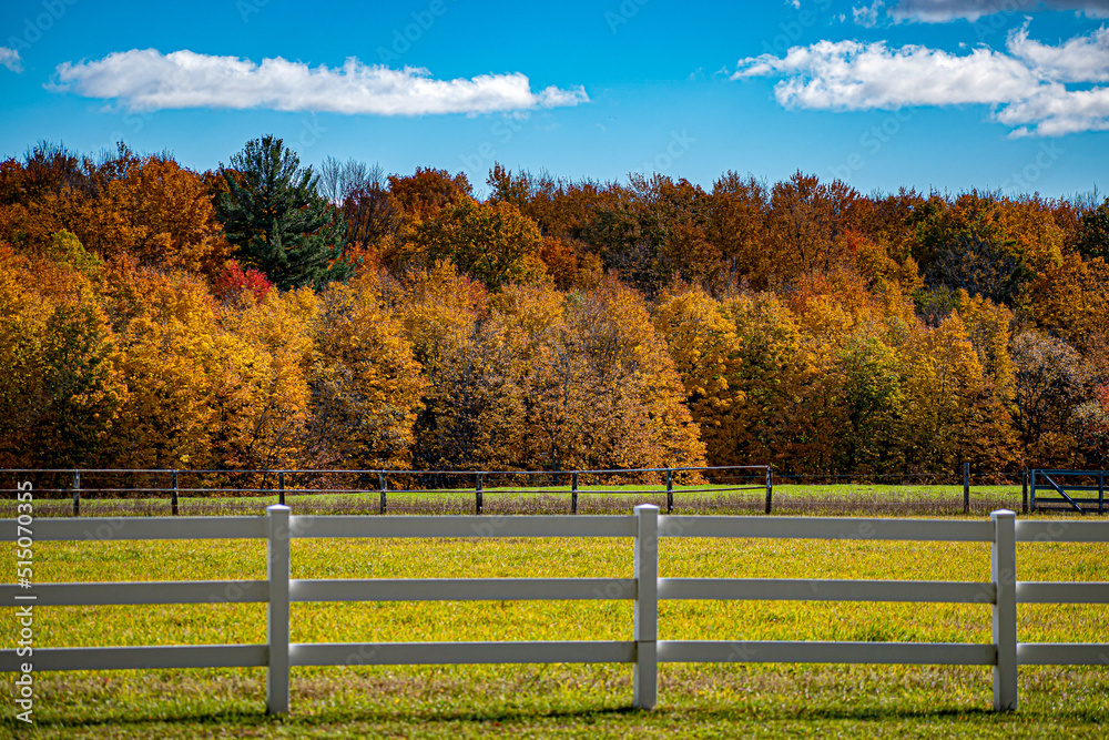 Country road changing leaves road trip in the fall Country road changing leaves road trip in the fall