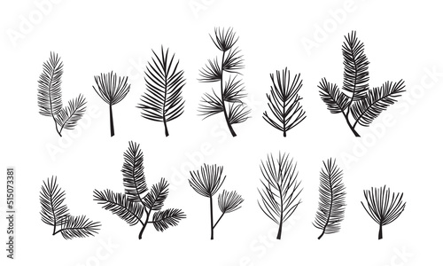 Christmas pine branch, evergreen tree, fir and spruce, cedar twig vector icon, winter plants, New Year wood, holiday decoration, black silhouette isolated on white background. Xmas illustration