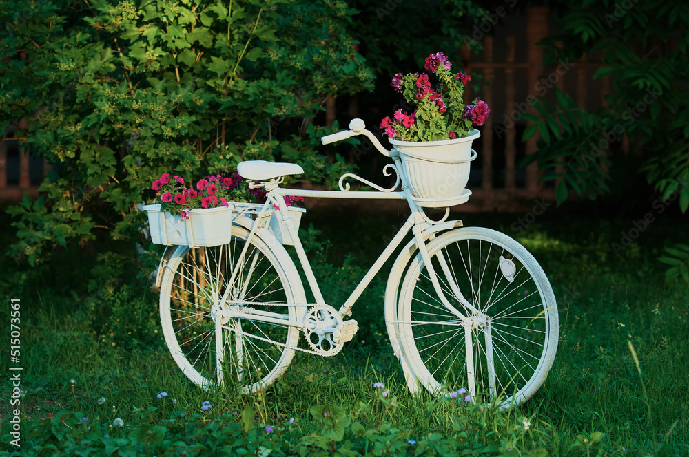 White retro vintage bicycle with flowers in the garden. Decoration of the park area. Flower bed design option. Dark blurred background. Summer evening. Selective focus.