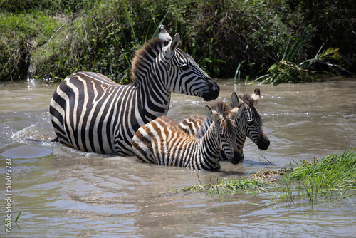 Brambleberry Tours Serengeti Safari 2021 - Serengeti  NgoroNgoro  Ndutu - East African Wildlife