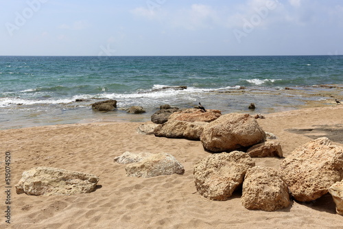 Large stones in a city park on the shores of the Mediterranean Sea © shimon