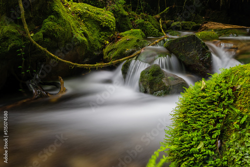 Waterfall in a peaceful green forest