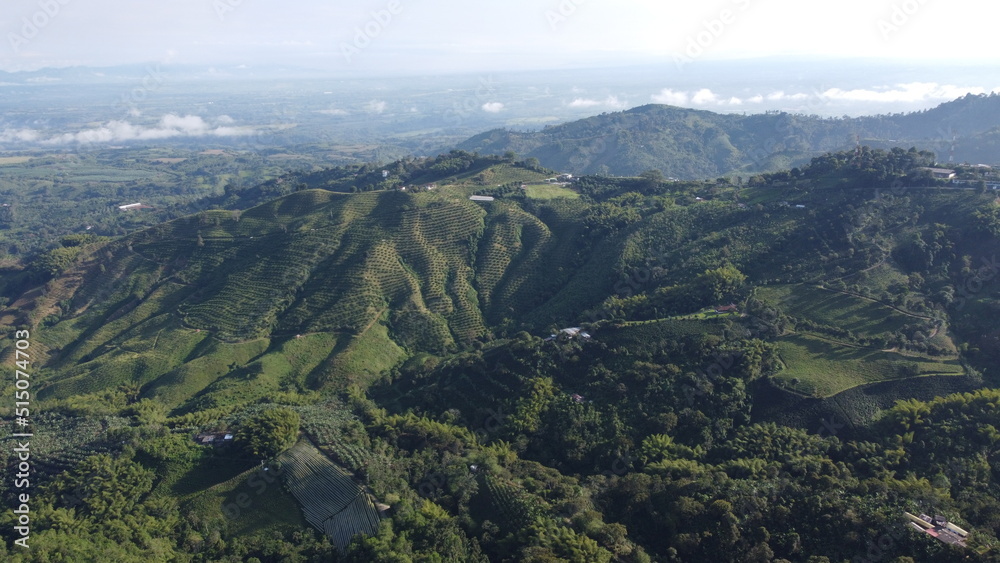 VISTA AÉREA DE MONTAÑA Y CULTIVO DE CAFÉ CON NUBES AL FONDO EN COLOMBIA VISTA AÉREA DE MONTAÑA Y CULTIVO DE CAFÉ CON NUBES AL FONDO EN COLOMBIA