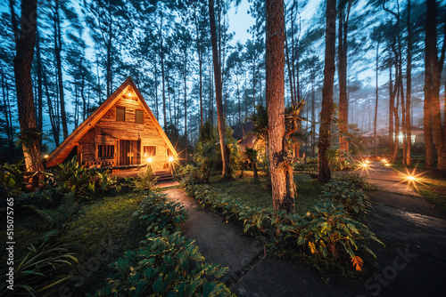 Pinewood cabin in pine forest green on nature trail. Wooden house or wooden hut along the Pinewood hill in twilight night photo