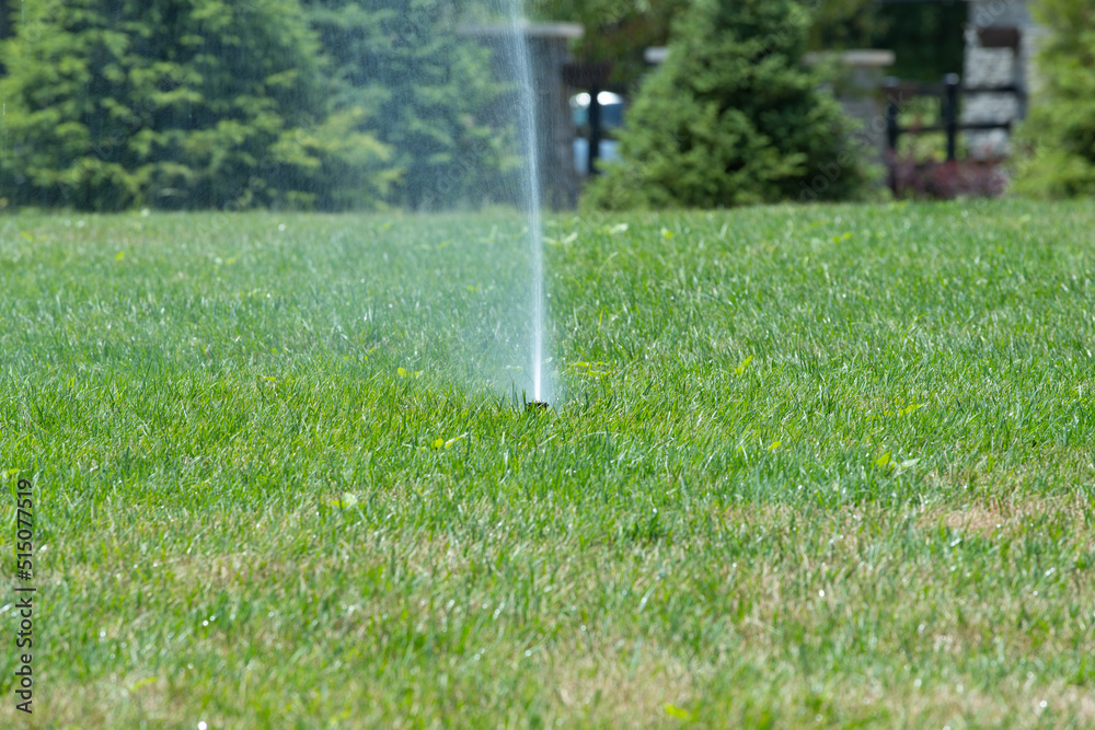 automatic sprinklers watering grass