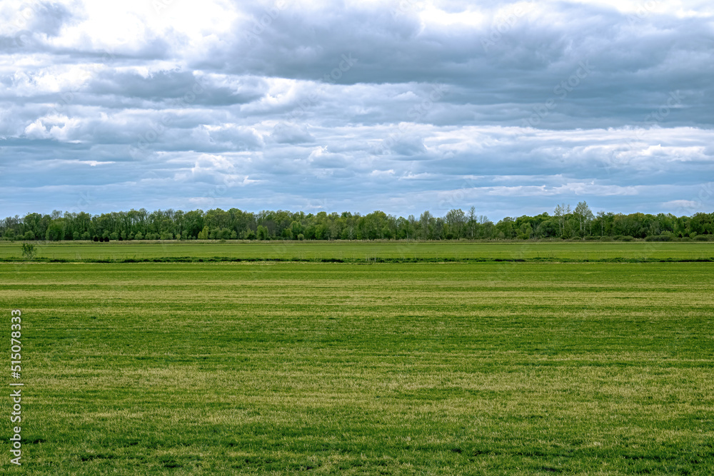 Spring view of a wisconsin field
